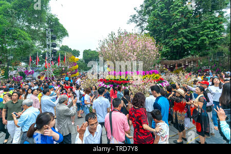 Touristen im Cherry Blossom Festival überfüllt sind in der Hauptstadt Hanoi statt. Dies ist ein kulturelles Festival Förderung im Tourismus zwischen Vietnam und Japan Stockfoto