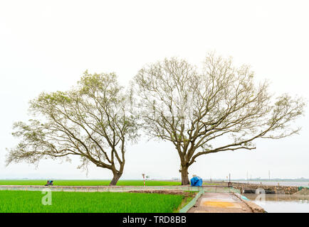 Silhouette Bombax Ceiba im ländlichen Vietnam, so wunderschön und friedlich Stockfoto