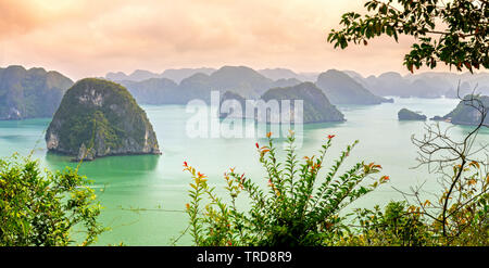 Die schöne Landschaft der Halong Bay View von adove der Ti Top Insel. Halong Bay ist das UNESCO-Weltkulturerbe, es ist eine schöne natürliche Wunder Stockfoto