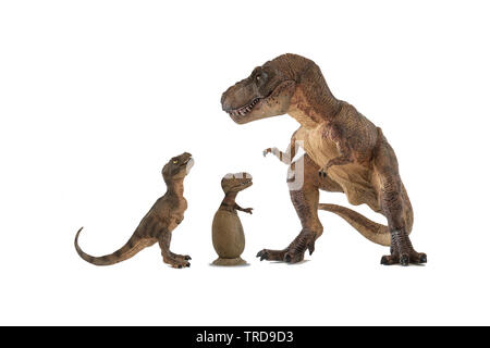 Tyrannosaurus rex Tyrannosaurus rex mit Baby und Kind tyrannosaurus in Ei auf weißem Hintergrund Stockfoto