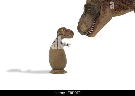 Süßes baby Tyrannosaurus rex in Ei mit schönen Tyrannosaurus rex auf weißem Hintergrund Stockfoto