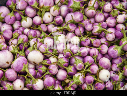 Aubergine lila Hintergrund in der gemüsemarkt/Thai Auberginen Asien Stockfoto