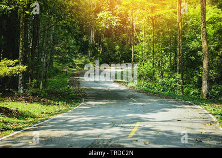 Ruhige Straße zum Wald mit Baum am Straßenrand/Country Road Kurve natürliche Stockfoto