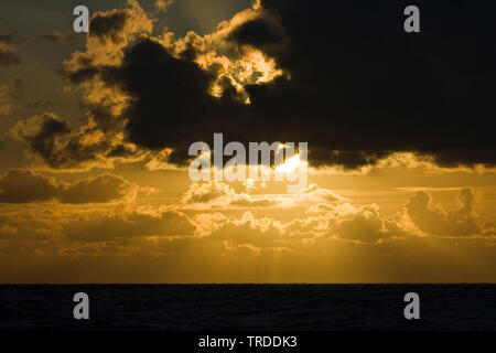 Golden Sunset und dunkle Wolken über der Nordsee im Sommer, Niederlande Stockfoto