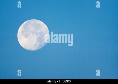 Mond in klaren bly Himmel bei Tageslicht, Niederlande, Südholland, Katwijk aan Zee Stockfoto