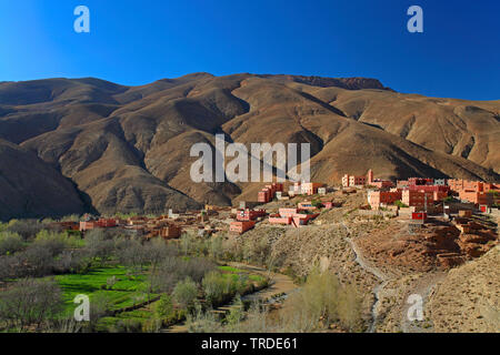 Beber Dorf in der Dades Schluchten, Marokko Dades Tal, Imdiazene Stockfoto