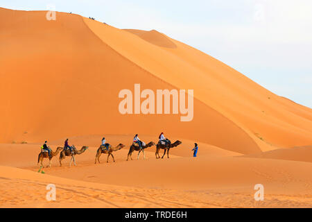 Wohnwagen mit Touristen in den Sanddünen, Marokko, Merzouga, Erg Chebbi Stockfoto