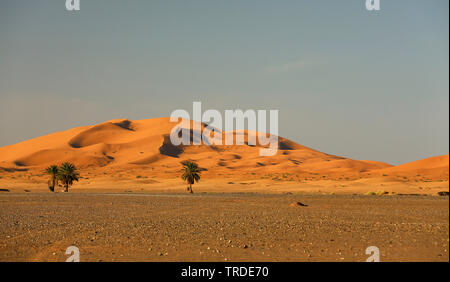 Blick von merzoug zu den Sanddünen des Erg Chebbi, Marokko, Fes Stockfoto
