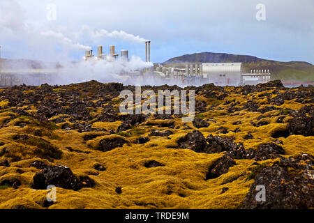 Bemoosten Lavafeld Illahraun mit erdwärmekraftwerk Svartsengi, Island, Reykjanes Halbinsel, Halbinsel Reykjanes Stockfoto