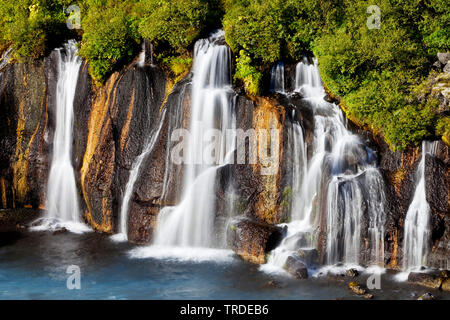 Hraunfossar Wasserfälle gießen in Fluss Hvita, Island, West Island Stockfoto
