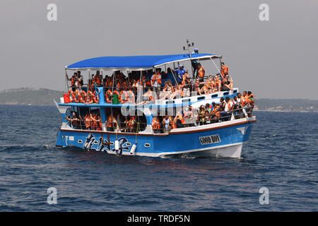 Whalewatcher auf einem Schiff vor der Küste von Sri Lanka, Sri Lanka Stockfoto