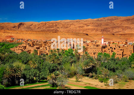 Stadt und Oasis, Marokko, Hoher Atlas, Tinghir Stockfoto