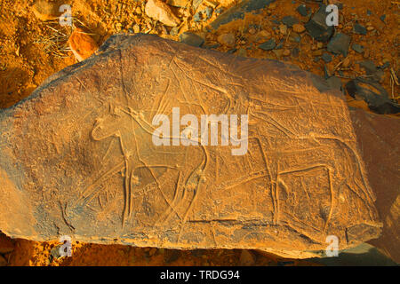 Prähistorische Petroglyphen, Marokko, Alnif Stockfoto