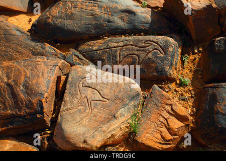 Prähistorische Petroglyphen, Strauß, Marokko, Ait Ouazik Stockfoto