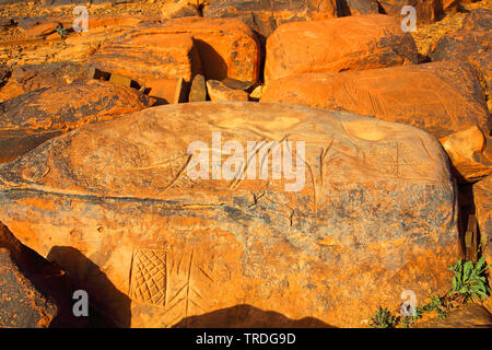 Prähistorische Petroglyphen, Marokko, Ait Ouazik Stockfoto