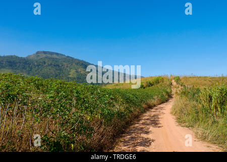 Dirt Road on Feld auf Hügel Berg - Ländliche staubigen Landstraße für off road Pickup Truck Stockfoto