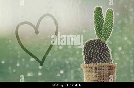 Cactus an einem regnerischen Tag mit Handschrift Herzform auf Wasser Tropfen am Fenster Hintergrund. Regentropfen auf dem Fenster Glas Hintergrund. Stockfoto
