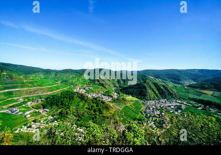 Die Weinberge des Ahrtals, Deutschland, Rheinland-Pfalz, Ahrtal, Mayschoss Stockfoto