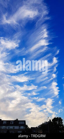 Cirrus Wolken im Himmel, Niederlande, Noordwijk aan Zee Stockfoto