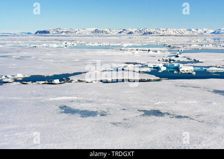 Eisschollen im Meer, Norwegen, Spitzbergen Stockfoto