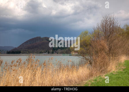 Gewitterwolken über dem See Wienerwaldsee, Österreich, Niederösterreich Stockfoto