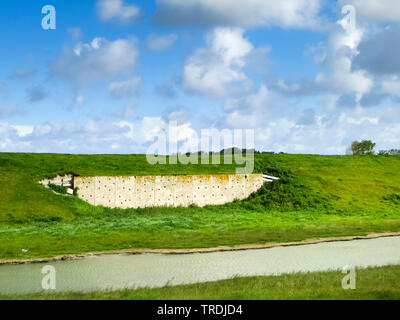 Swallow Wand auf Texel, Niederlande, Texel Stockfoto