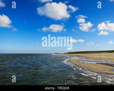 Strand auf Texel im Spätsommer, Niederlande, Texel Stockfoto