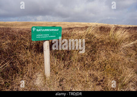 Dünen von Texel im Frühjahr, Niederlande, Texel, duenen von Texel Nationalpark Stockfoto