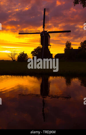 Wind Mill im Abendlicht, Niederlande, Nördliche Niederlande, Kockengen Stockfoto