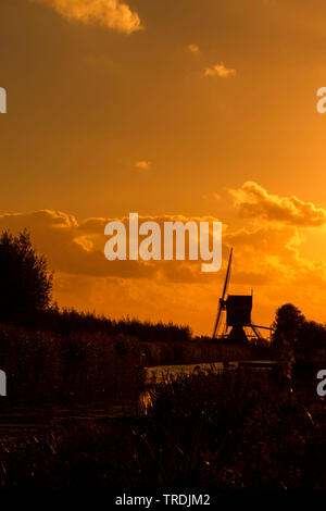 Wind Mill in der Abendsonne, Niederlande, Utrecht Stockfoto
