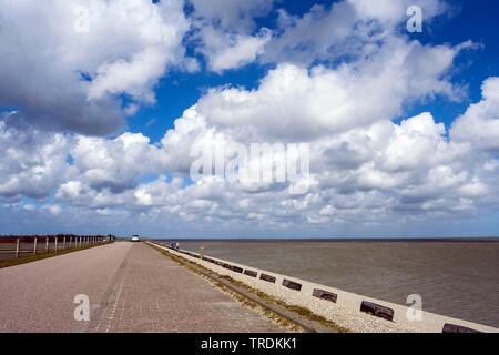 Deich am Texel im Frühjahr, Niederlande, Texel Stockfoto