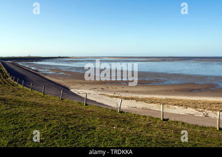 Deich am Texel im Frühjahr, Niederlande, Texel Stockfoto