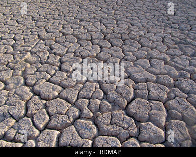 Ausgetrockneten Wadi in Israel, Israel, Negev Stockfoto