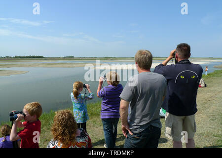 Vogelbeobachter auf Texel, Niederlande, Texel Stockfoto