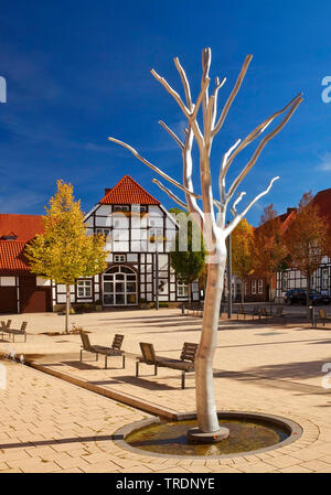 Marktplatz mit Fachwerkhäusern, Stromberg, Deutschland, Nordrhein-Westfalen, Münsterland, Oelde-Stromberg Stockfoto