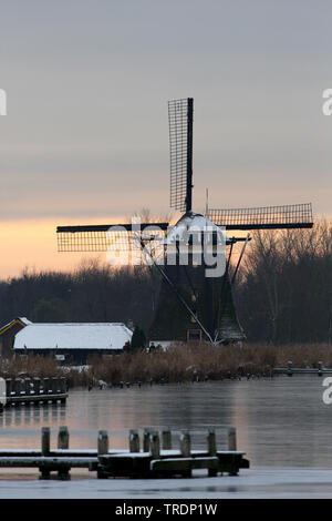 Windmühle im Winter Landschaft, Niederlande Stockfoto
