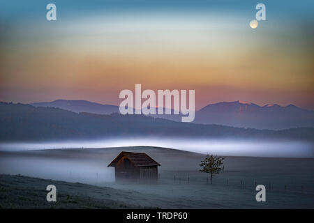 Landschaft im Nebel in der Nähe von Murnau, Deutschland, Bayern, Oberbayern, Oberbayern, Murnau Stockfoto