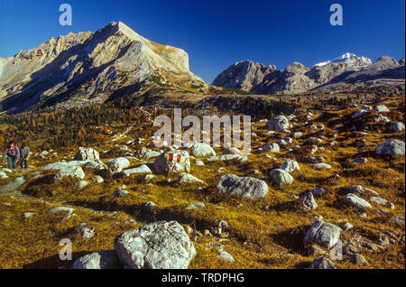 Felsen auf Bergwiese, Italien, Süd Tirol, Fanes Nationalpark Stockfoto