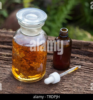 Mädesüß, Königin-von-der-Wiese (Filipendula ulmaria), selbst gemacht Tinktur in Alkohol, Deutschland Stockfoto