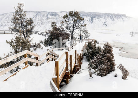 Wanderweg entlang Mammoth Hot Springs im Winter, USA, Wyoming, Yellowstone National Park Stockfoto