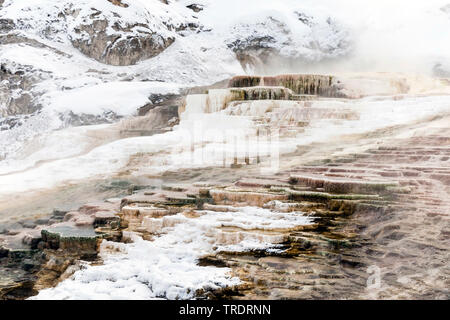 Mammoth Hot Springs im Winter, USA, Wyoming, Yellowstone National Park Stockfoto