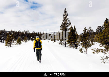 Männliche Touristen wandern in der schneebedeckten Landschaft, USA, Wyoming, Yellowstone National Park Stockfoto