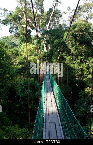 Canopy Walk Danum Valley, Malaysia, Borneo, danum Stockfoto