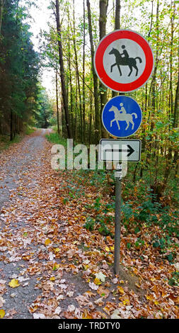 Reitweg im Wald, Deutschland Stockfoto