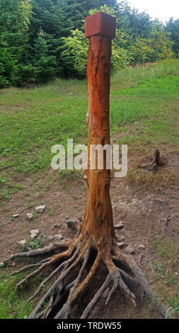 Salzleckstein für Schalenwild in einem Wald, Deutschland Stockfoto