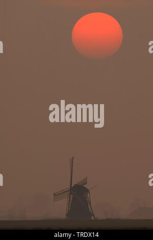 Mühle bei Sonnenuntergang, Niederlande, Lauwersmeer Stockfoto