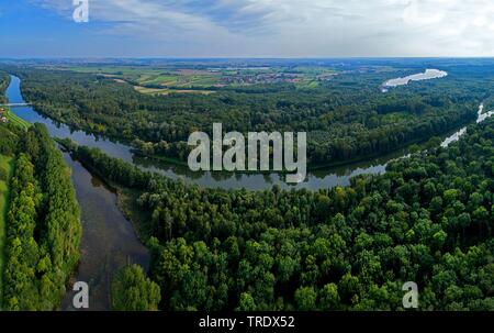 Holz an der Mündung des Lechs in die Donau, Deutschland, Bayern, Schwaben Stockfoto