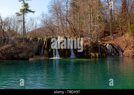 Wasserfall im Nationalpark, Kroatien, Plitvicer Seen Nationalpark Stockfoto