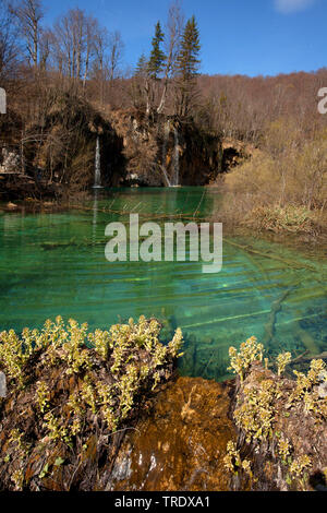 Wasserfall im Nationalpark, Kroatien, Plitvicer Seen Nationalpark Stockfoto