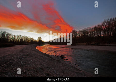 Auenwald der Isar bei Moosburg in Abendstimmung, Deutschland, Bayern, Niederbayern, Oberbayern Stockfoto